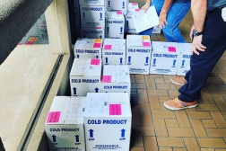 Honolulu courier service employee getting boxes ready for delivery.